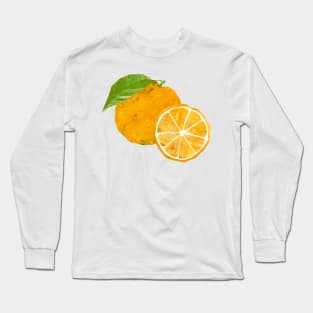 Orange and slice Long Sleeve T-Shirt